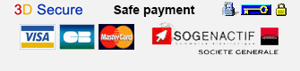 secured payment